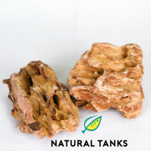 Roca Dragón Mediana (Ohko Stone) – 8 a 12 cm