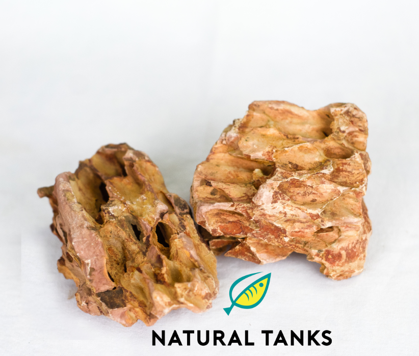 Roca Dragón Mediana (Ohko Stone) – 8 a 12 cm