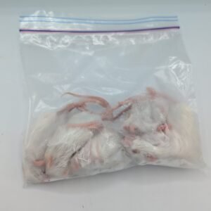 Packs de 5 Ratones Congelados