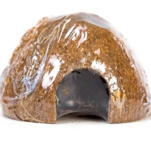 Coco Shell Josh's Frogs