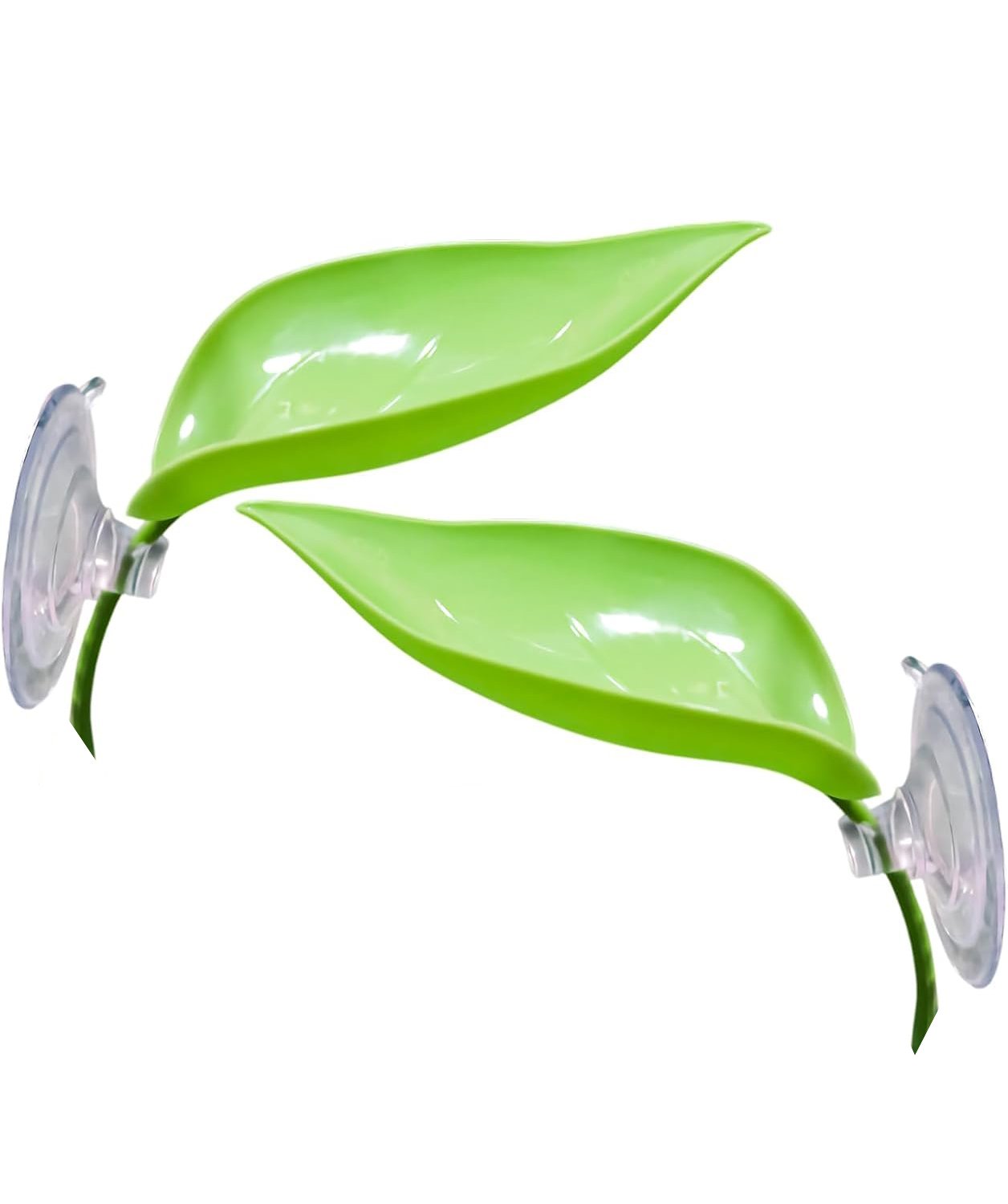 Plataforma de Hoja para Ranas - Image 2