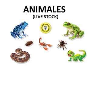 Animales (Live Stock)