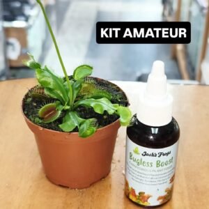 KIT AMATEUR - Planta carnívora Dionaea "Big Mouth" (Oferta de Décimo)