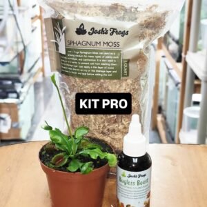 KIT PRO - Planta carnivora Dionaea "Big Mouth" (Oferta de Décimo)