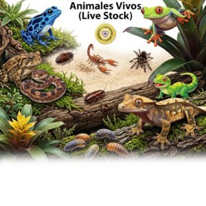 Animales (Live Stock)